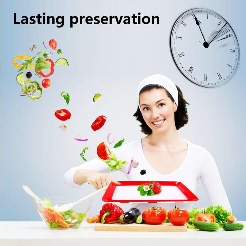 CREATIVE FOOD PRESERVATION TRAY - MakenShop