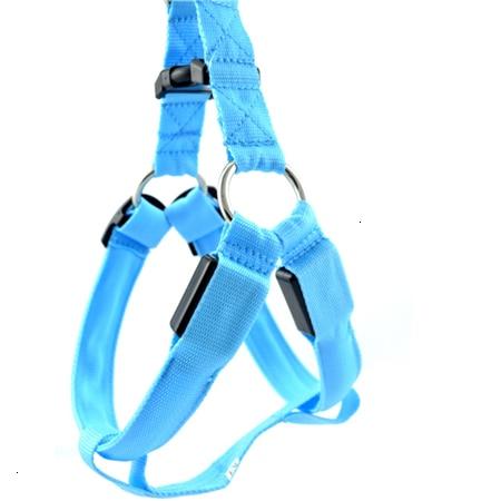 #3 Best Seller-LED Glowing Safety Collars - MakenShop