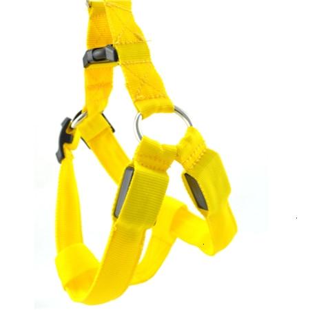 #3 Best Seller-LED Glowing Safety Collars - MakenShop