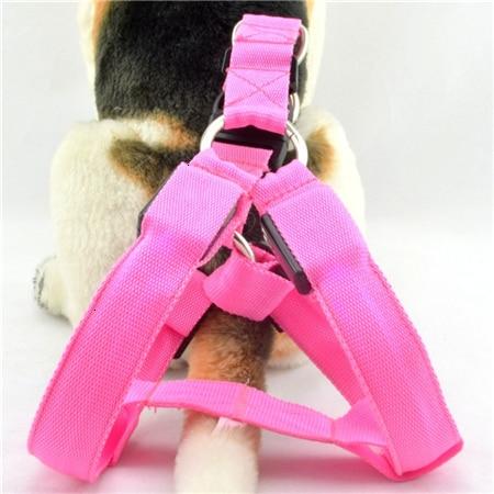 #3 Best Seller-LED Glowing Safety Collars - MakenShop